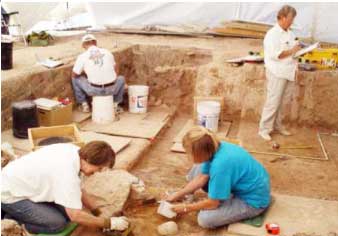 قديم آثارن جا ماهر هڪ دڙي جي کوٽائي ڪندي