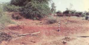 چانهونءَ جي دڙي جو منظر