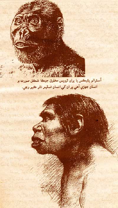 آسٽرالو پٿيڪس يا يران ٿروپس مخلوق، جيڪا شڪل صورت ۾ انسان جهڙي آهي، پر ان کي انسان تسليم نه ٿو ڪيو وڃي