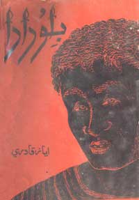 بلو دادا - ڪتاب
