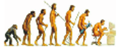 انساني نسل جي ارتقا