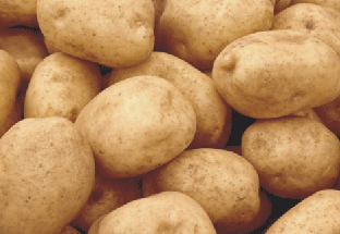 پٽاٽن جي تصوير