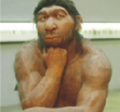 پٿر واري دور جي انسان جو هڪ نمونو