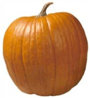 ڪدو