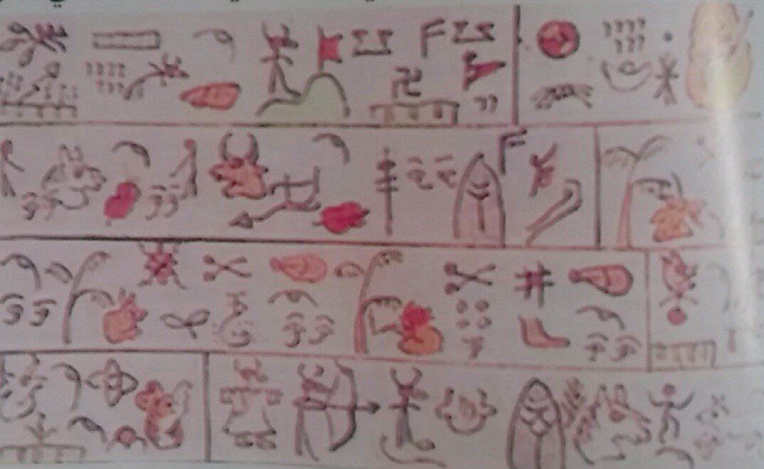 تصوير نويسي 