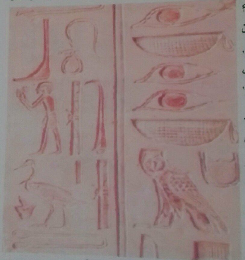 هيروگرافي خط