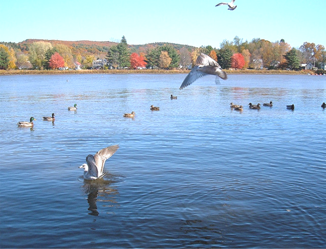 درياهي حيات