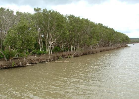 درياهه جي پائڪ