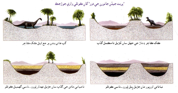 ’پربت جيڏن جانورن جي دور‘ کان ڪوئلي جي جوڙجڪ 