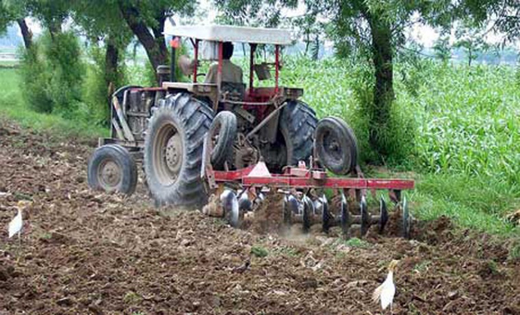 ٻني کي هر ڏيندي