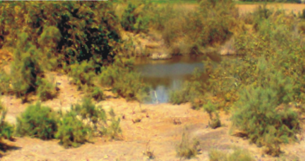 سُئي قندر جي مقام لڳ شاهه حبيب جي حويلي جا آثار