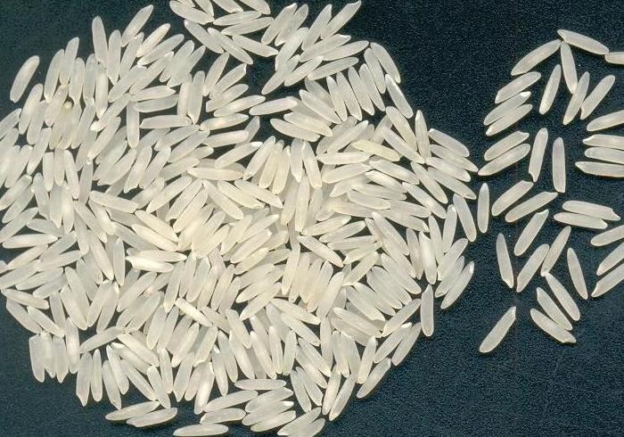 چانور (Rice)