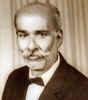 حامد علي مرزا