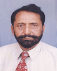 در محمد ڪمال