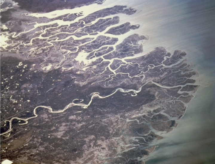 دريـاهه جو ڊيلٽائي مرحلو