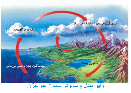 وايو منڊل ۾ سائوڻي مانڊاڻ جوجُڙڻ