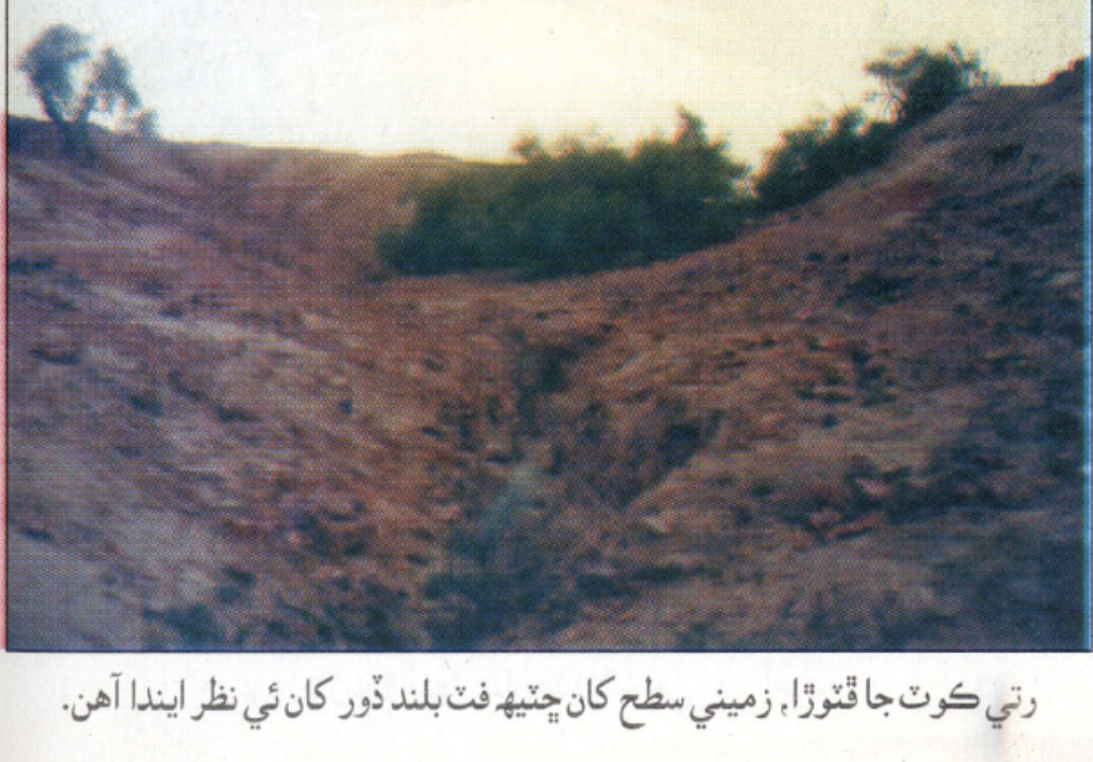 رتي ڪوٽ2 (سانگھڙ) جو هڪ ڏيک