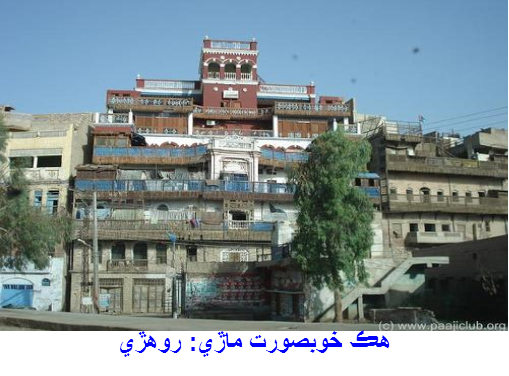 هڪ خوبصورت ماڙيي: روهڙي 