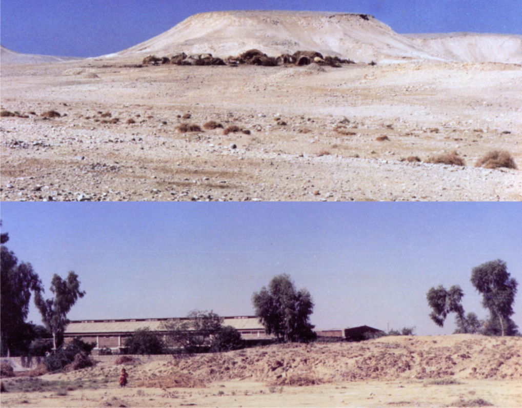 روهڙيءَ ۾ فلنٽ سائيٽون