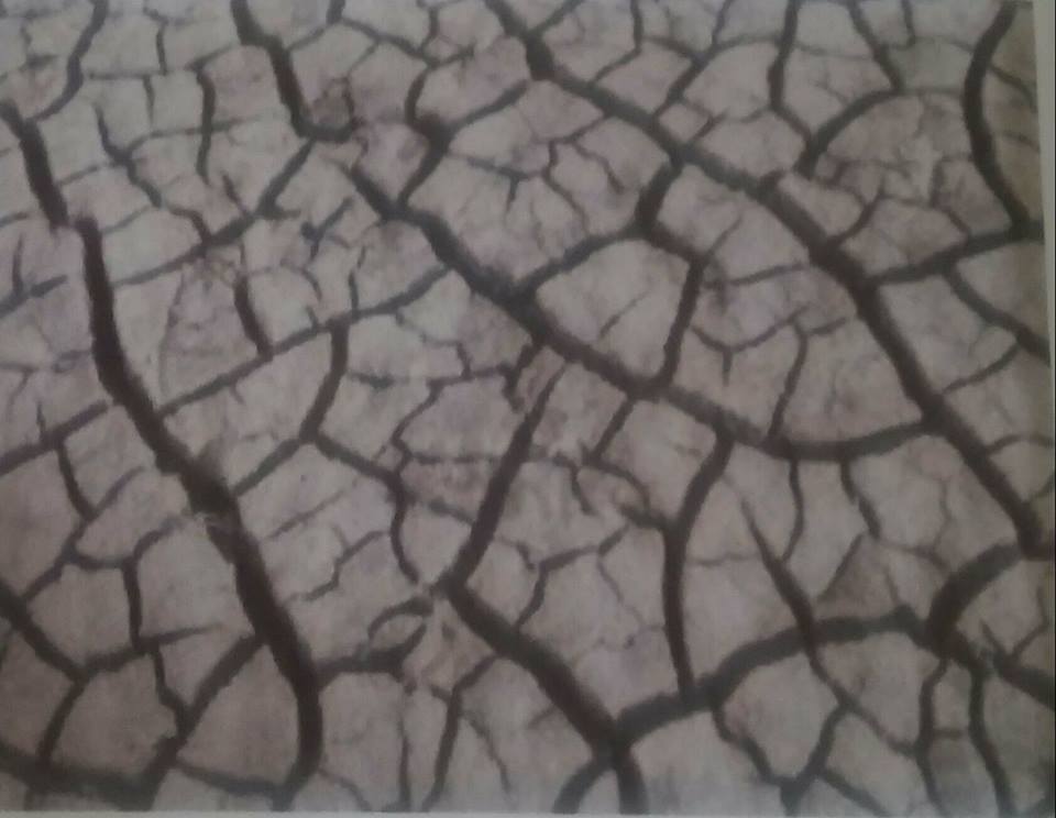 ڙاڪ