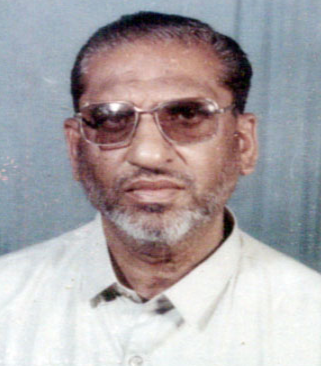 سلطان حيدر مرزا