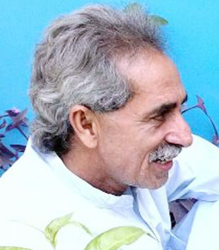 سليم ڀٽو لطيفي