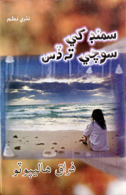 سمنڊ کي سوچي ته ڏس 
