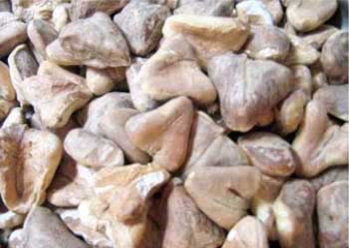 سنگهاڙو
