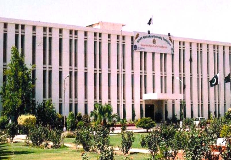سنڌ زرعي يونيورسٽي