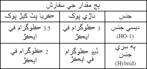 ٻج مقدار جي سفارش