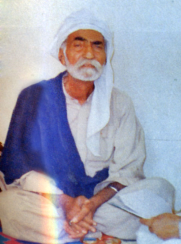 سيد صدرالدين شاهه