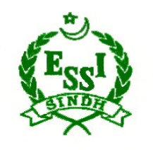 سيسي (SESSI)