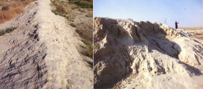 ديهه ٻڍي ملي وارا آثار