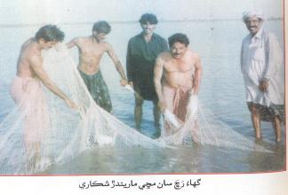 گھاءُ رڇ سان مڇي ماريندڙ شڪاري