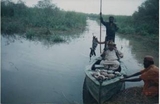 درياهي جانورن جوشڪار