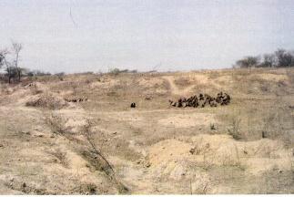ڀيڻي سورجان-1