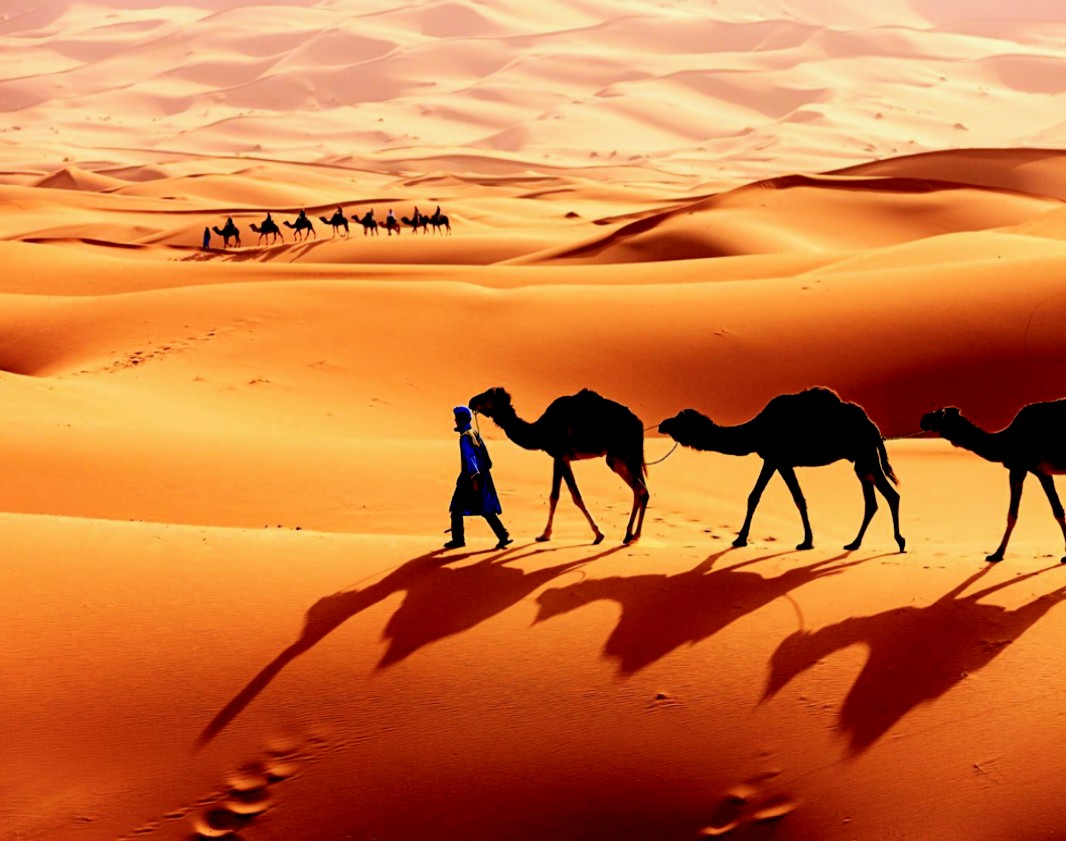 صحارا ريگستان آفريڪا