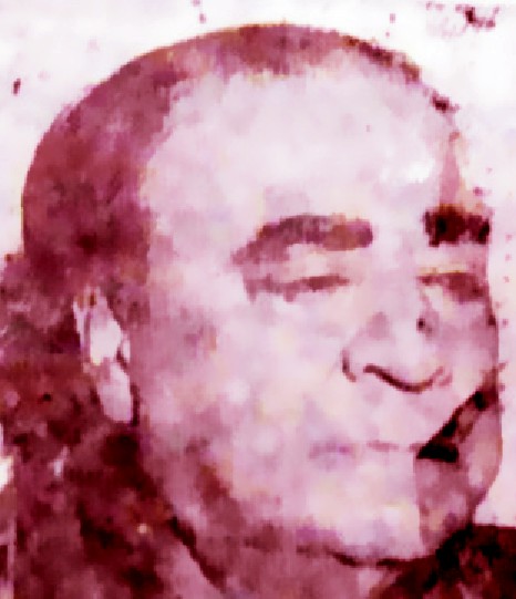 شڪيل احمد ضياءَ