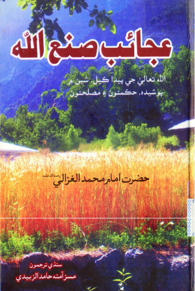 عجائب صنع الله (ڪتاب)