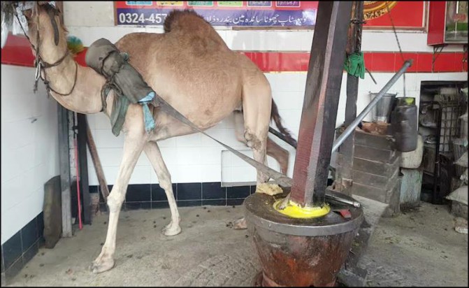 گهاڻو